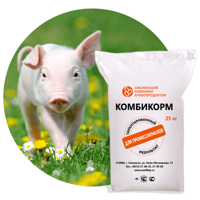 СКК - 55, Комбикорм для свиней на мясном откорме (Богданович)